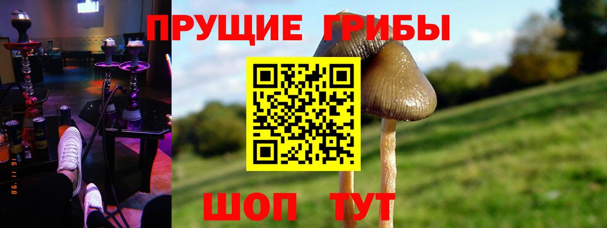Псилоцибиновые грибы MAGIC MUSHROOMS Анапа