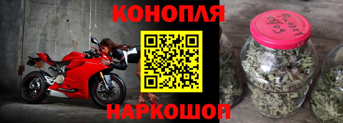 Конопля планчик Анапа